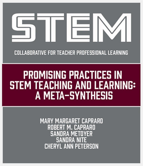 (PDF) Promising Practices in STEM Teaching and Learning : A Meta ...