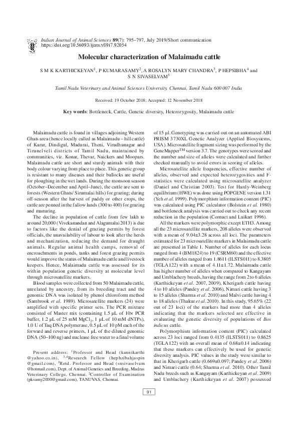 Pdf Molecular Characterization Of Malaimadu Cattle