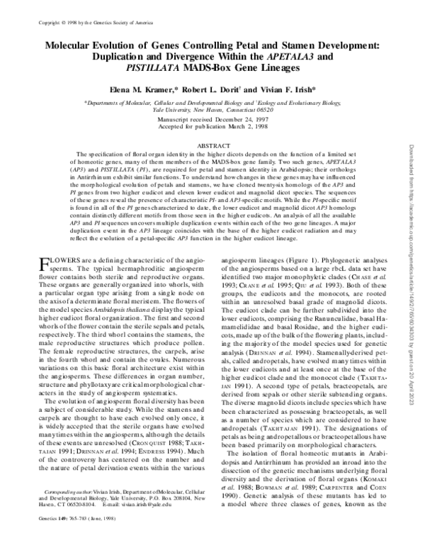 (PDF) Molecular Evolution of Genes Controlling Petal and Stamen ...