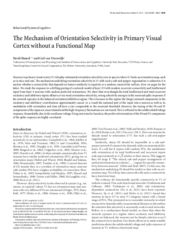 (PDF) The Mechanism of Orientation Selectivity in Primary Visual Cortex ...