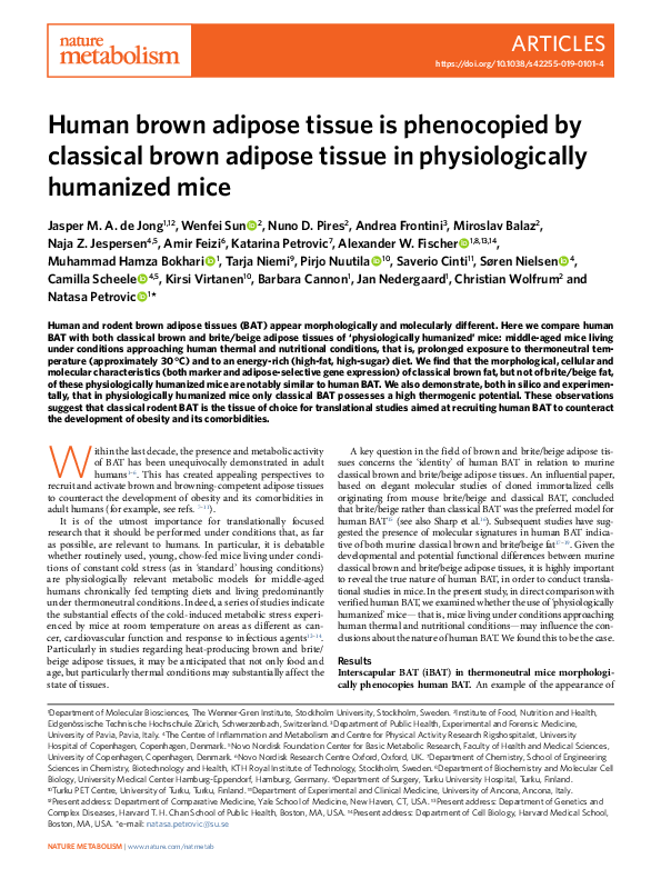 (PDF) Human brown adipose tissue is phenocopied by classical brown ...