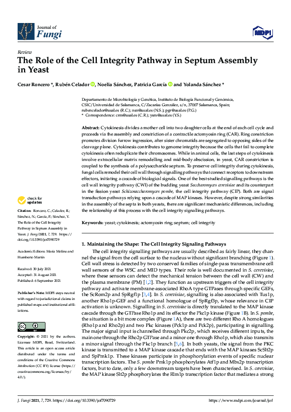 (PDF) The Role of the Cell Integrity Pathway in Septum Assembly in Yeast