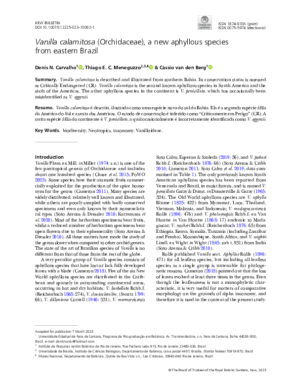 (PDF) Vanilla calamitosa (Orchidaceae), a new aphyllous species from ...
