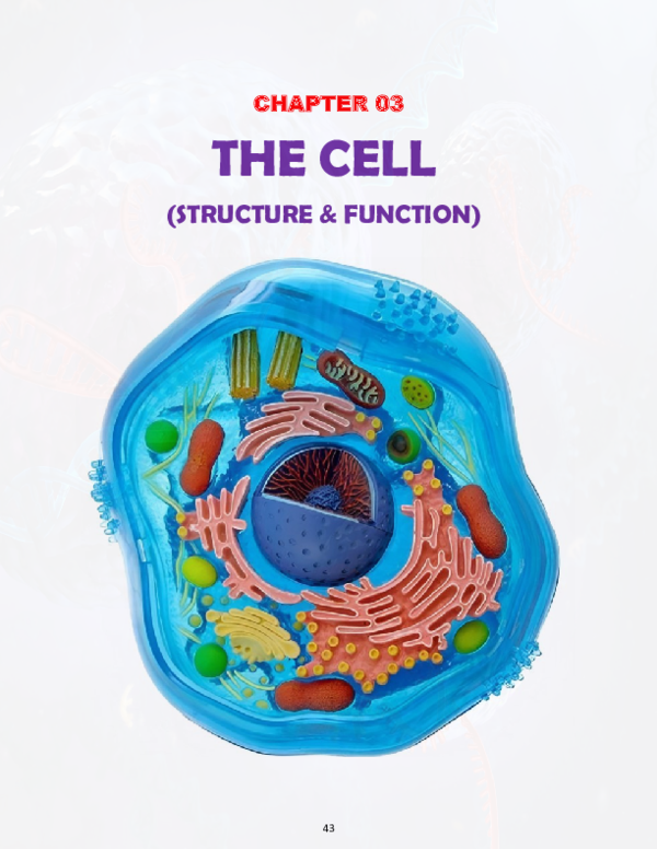 (PDF) The Cell: Structure and Functions - Noor's Biology - Chapter 03 ...