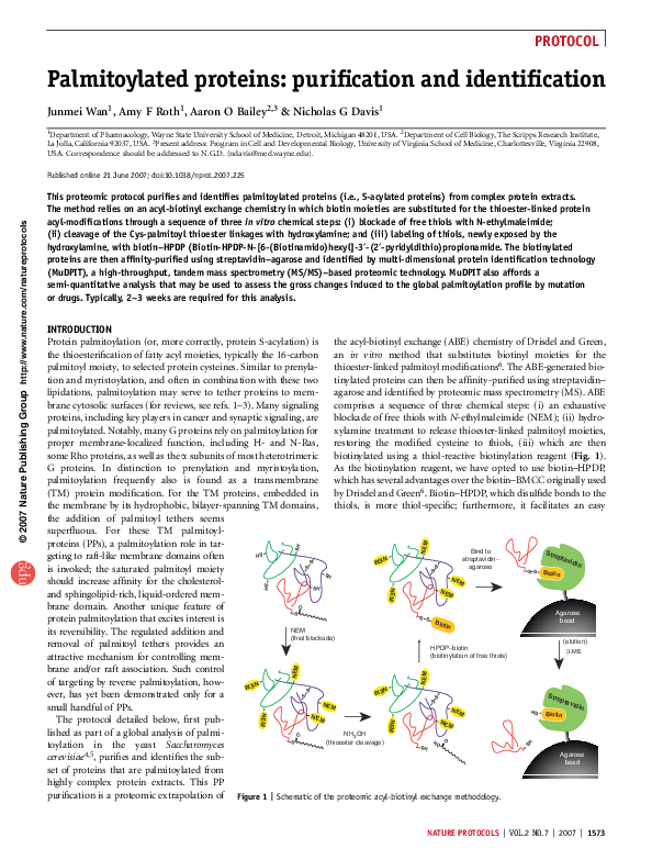 ダイエット mizxx1221様 adidas ZX Alkyne 'Chinese New Year' S24181