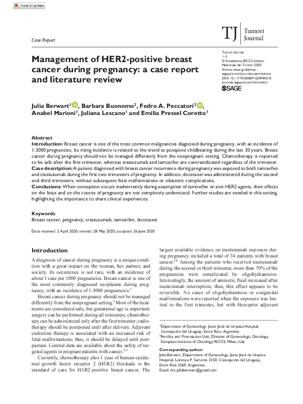 (PDF) Management of HER2-positive breast cancer during pregnancy: a ...