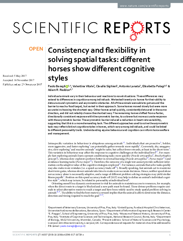  pdf consistency and flexibility in solving spatial tasks different