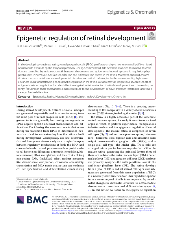 (PDF) Epigenetic regulation of retinal development