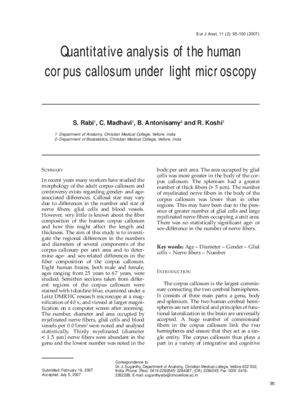 (PDF) Quantitative analysis of the human corpus callosum under light ...