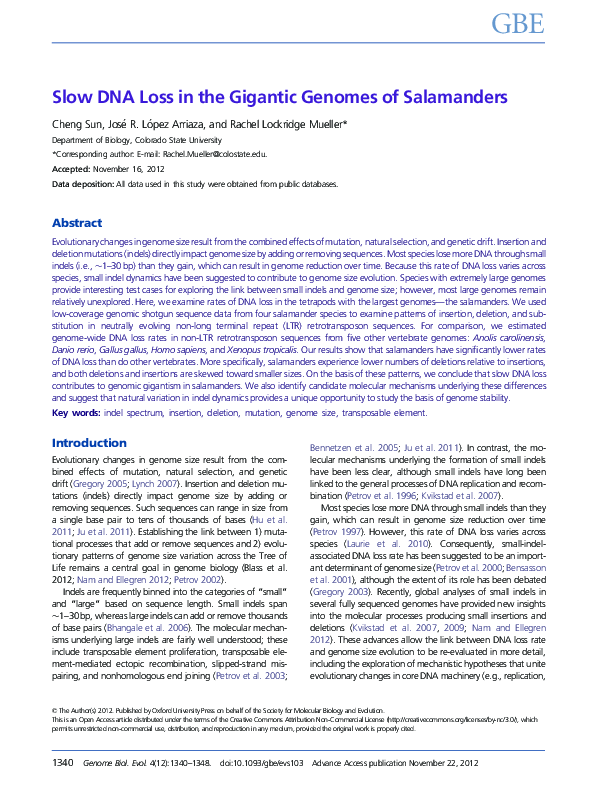 (PDF) A Meta-Analytic Review of Hypodescent Patterns in Categorizing ...