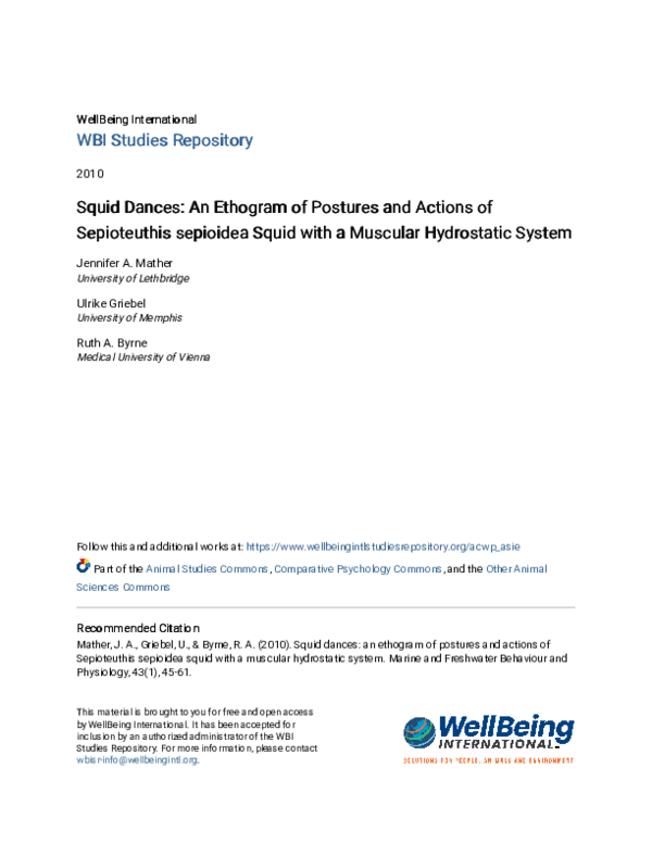 (PDF) Squid dances: an ethogram of postures and actions ofSepioteuthis ...