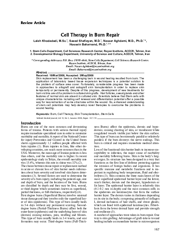 (PDF) Cell therapy in burn repair