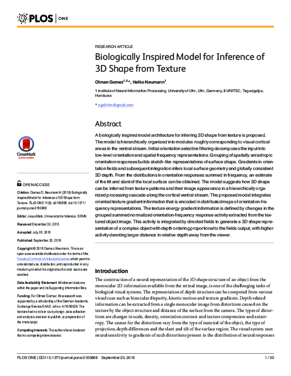 (PDF) Biologically Inspired Model for Inference of 3D Shape from Texture
