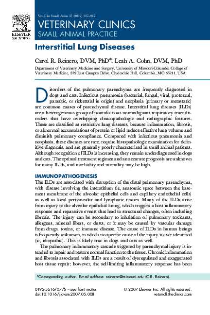 (PDF) Interstitial Lung Diseases