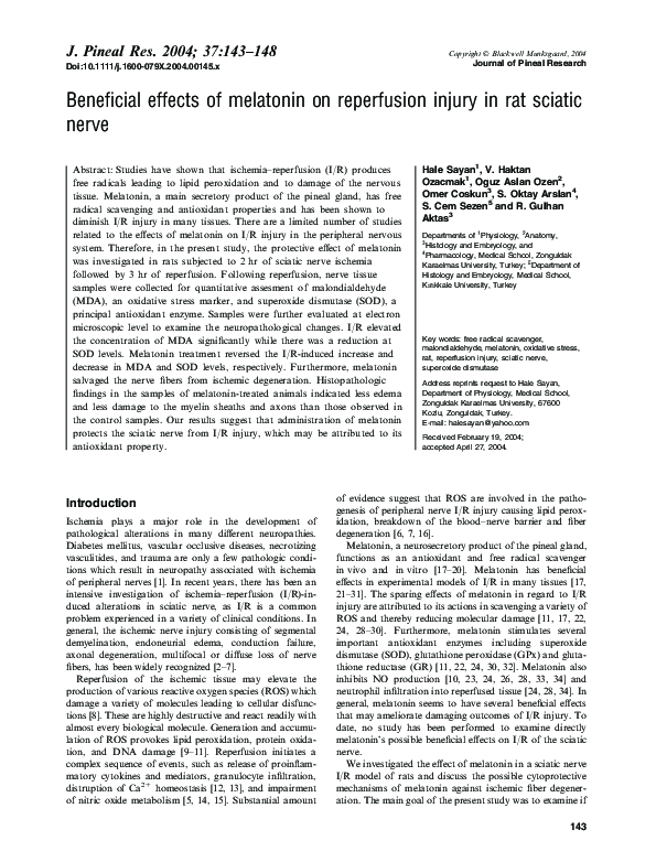 (PDF) Beneficial effects of melatonin on reperfusion injury in rat ...