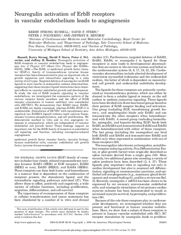 (PDF) Neuregulin activation of ErbB receptors in vascular endothelium ...