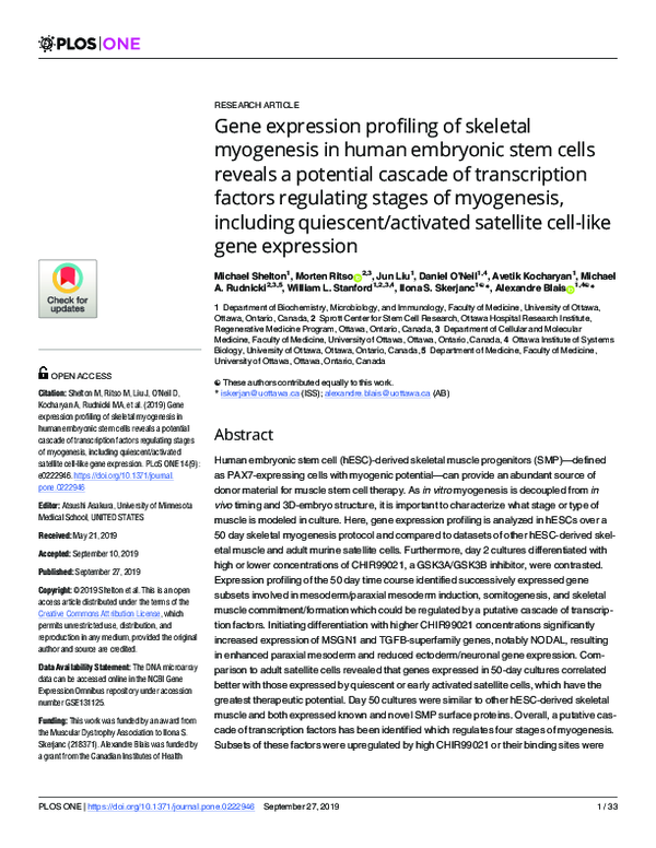 (PDF) Gene expression profiling of skeletal myogenesis in human ...
