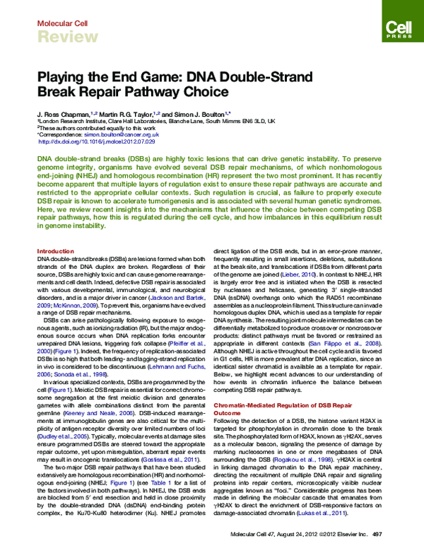 (PDF) Playing the End Game: DNA Double-Strand Break Repair Pathway Choice