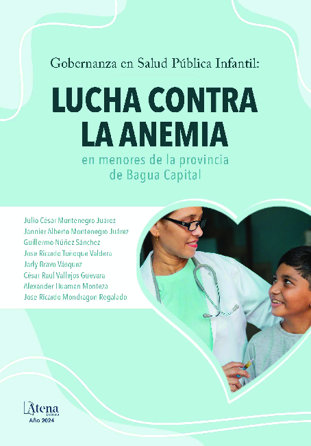 (PDF) Gobernanza en salud pública infantil: lucha contra la anemia en ...
