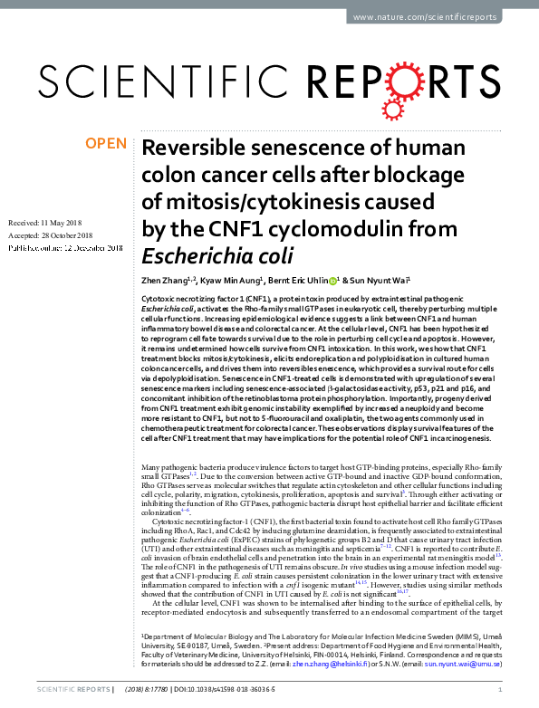 (PDF) Reversible senescence of human colon cancer cells after blockage ...