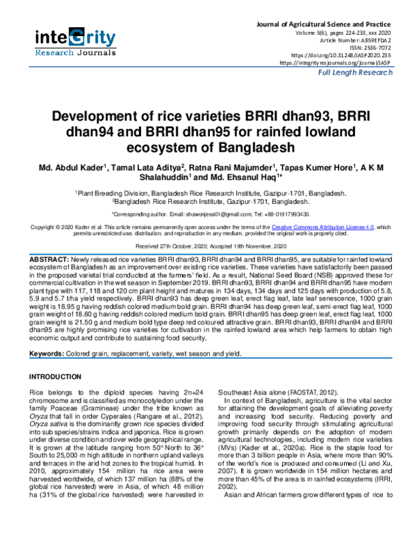 (PDF) Development of rice varieties BRRI dhan93, BRRI dhan94 and BRRI ...