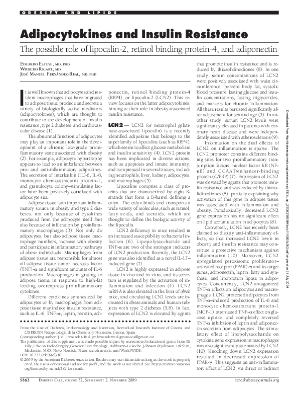 (PDF) Adipocytokines and Insulin Resistance