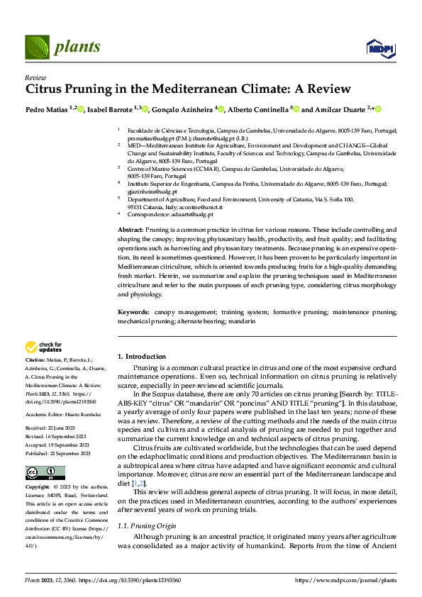 (PDF) Citrus Pruning in the Mediterranean Climate: A Review