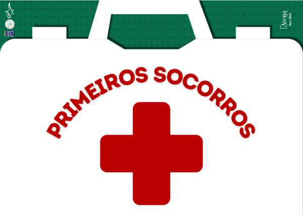 Primeiros socorros (Atena Editora)