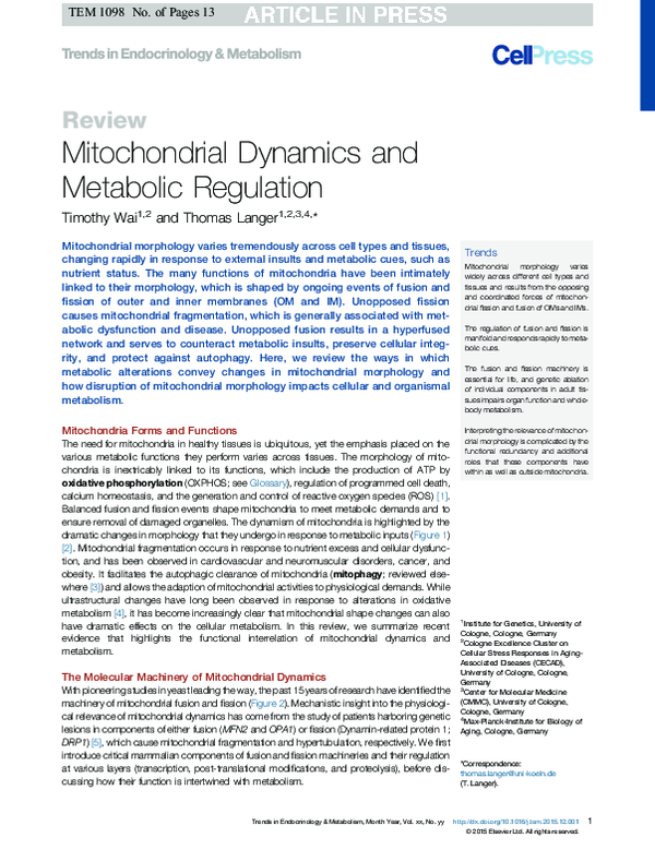 (PDF) Mitochondrial Dynamics and Metabolic Regulation