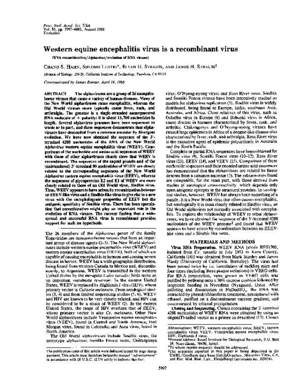 (PDF) Western equine encephalitis virus is a recombinant virus