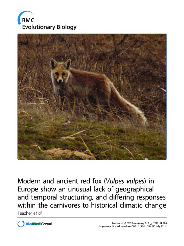 (PDF) Modern and ancient red fox (Vulpes vulpes) in Europe show an ...