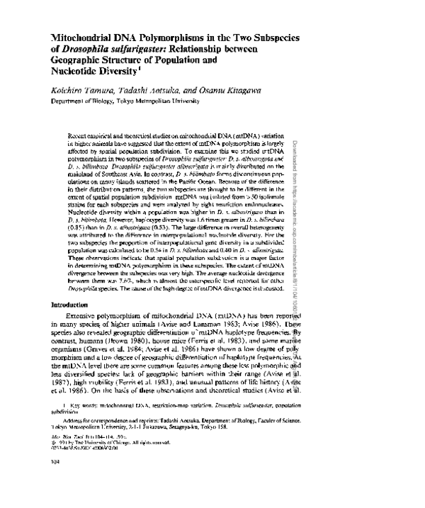 (PDF) Mitochondrial DNA polymorphisms in the two subspecies of ...