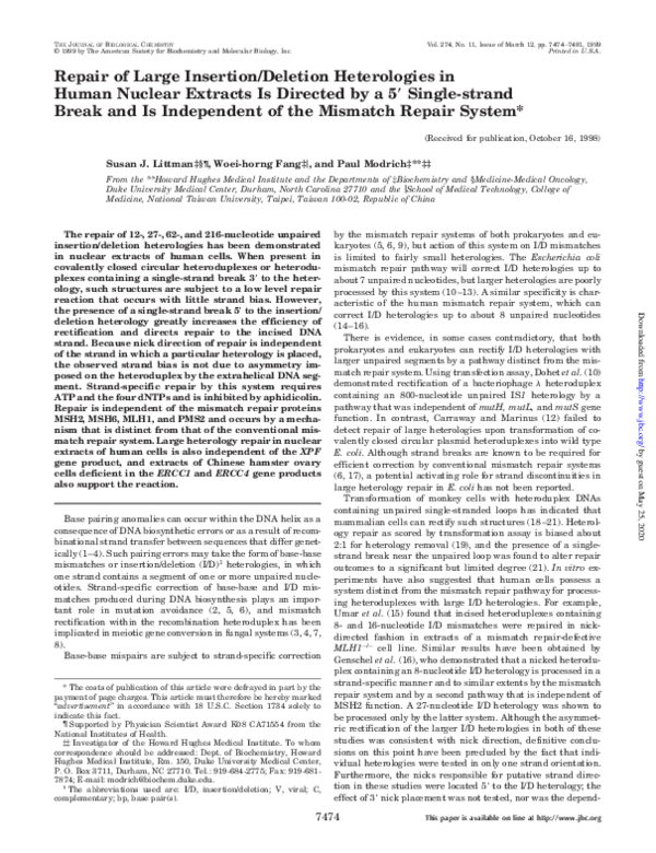 (PDF) Repair of Large Insertion/Deletion Heterologies in Human Nuclear ...