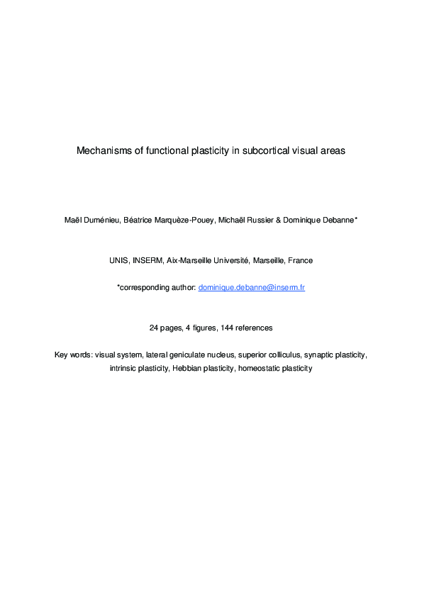 (PDF) Mechanisms of functional plasticity in subcortical visual areas