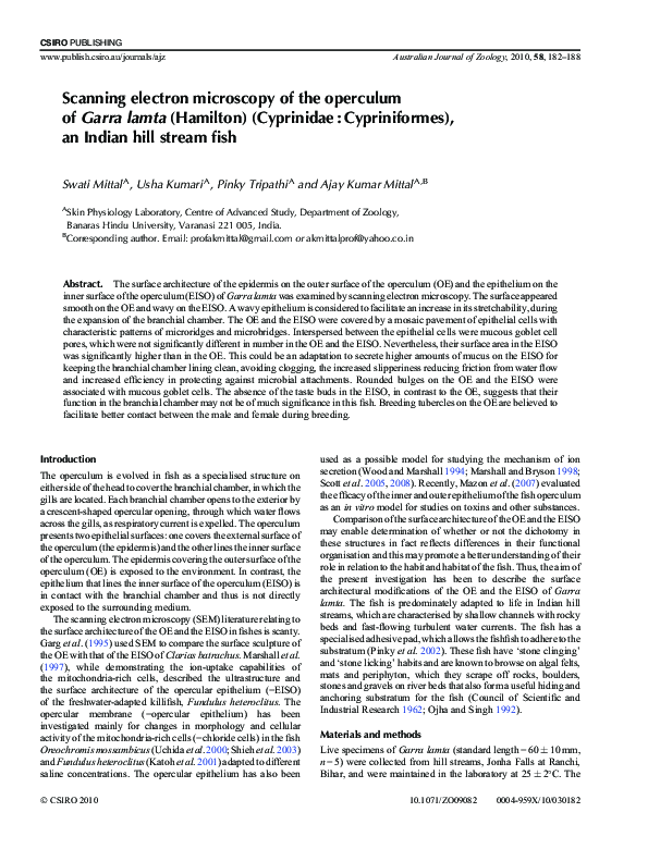 (PDF) Scanning electron microscopy of the operculum of Garra lamta ...