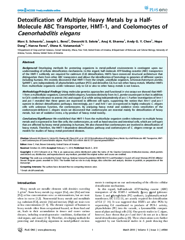 (PDF) Detoxification of Multiple Heavy Metals by a Half-Molecule ABC ...