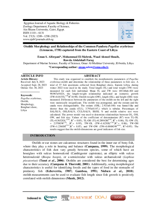 (PDF) Otolith Morphology and Relationships of the Common Pandora ...