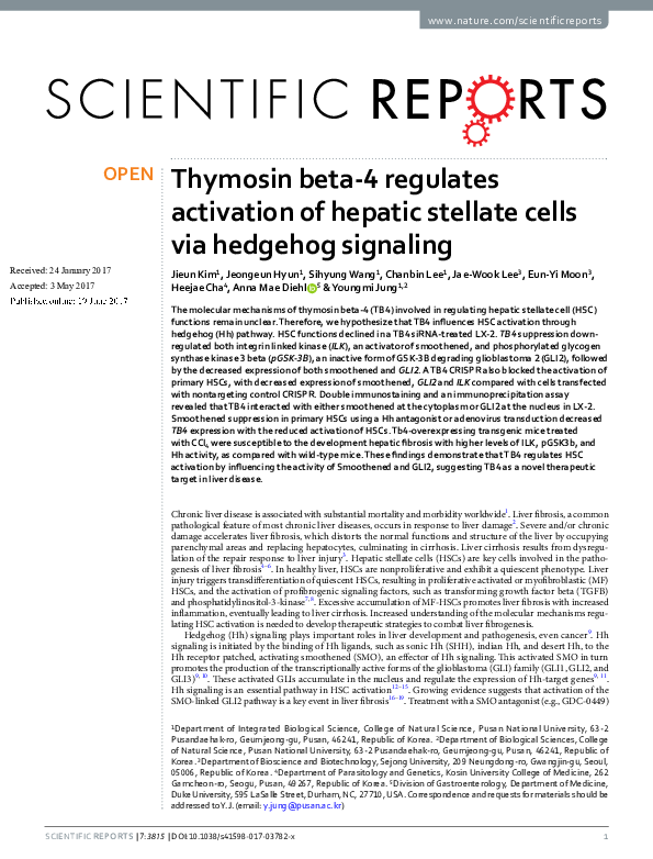Thymosin Beta 4 Signaling Pathways