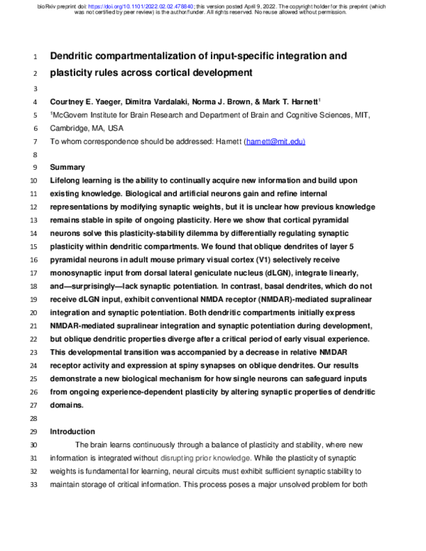 (PDF) Dendritic compartmentalization of input-specific integration and ...