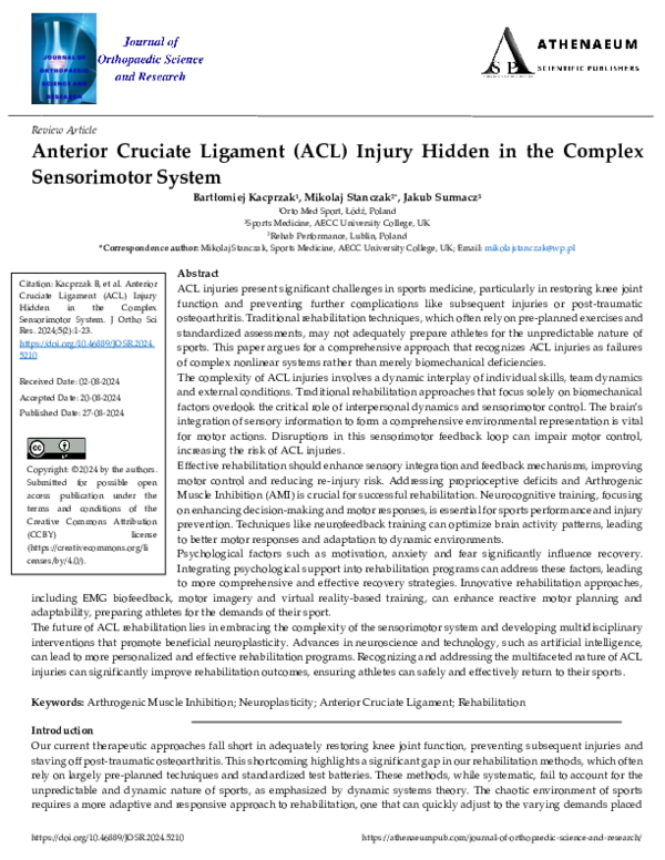 (PDF) Anterior Cruciate Ligament (ACL) Injury Hidden in the Complex ...