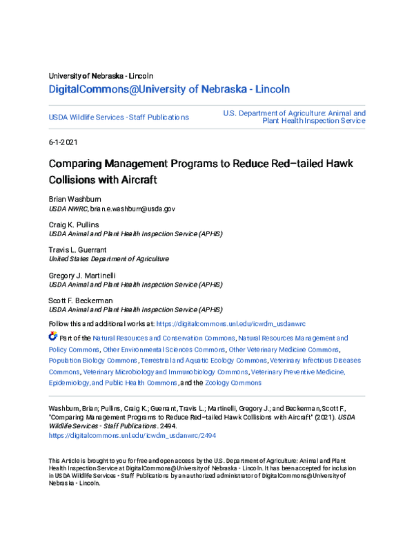 (PDF) Comparing Management Programs to Reduce Red–tailed Hawk ...