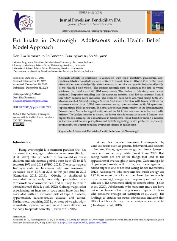 (PDF) Fat Intake in Overweight Adolescents with Health Belief Model ...