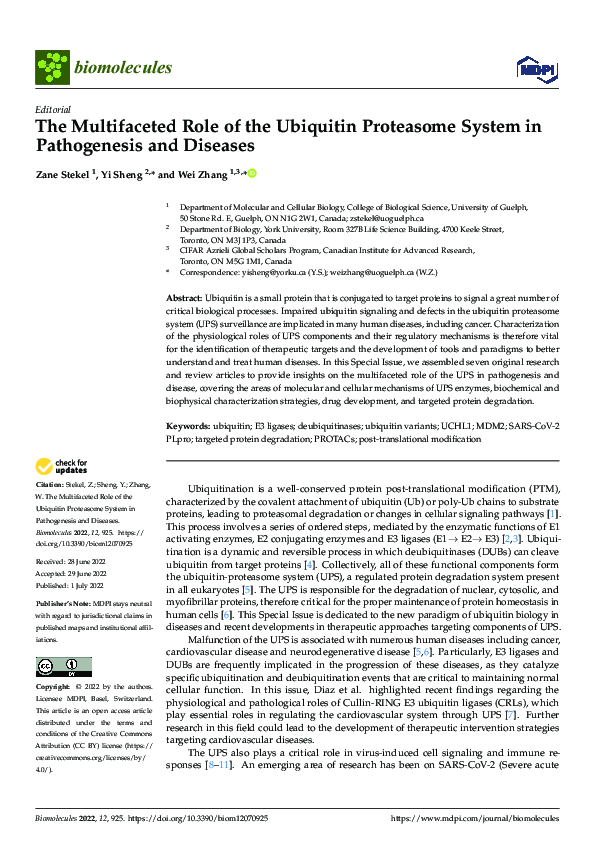 (PDF) The Multifaceted Role of the Ubiquitin Proteasome System in ...