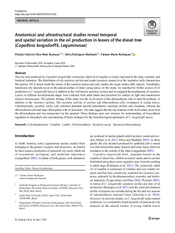 (PDF) Anatomical and ultrastructural studies reveal temporal and ...