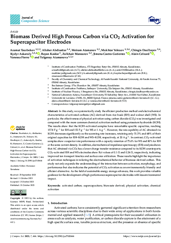 (PDF) Biomass Derived High Porous Carbon via CO2 Activation for ...