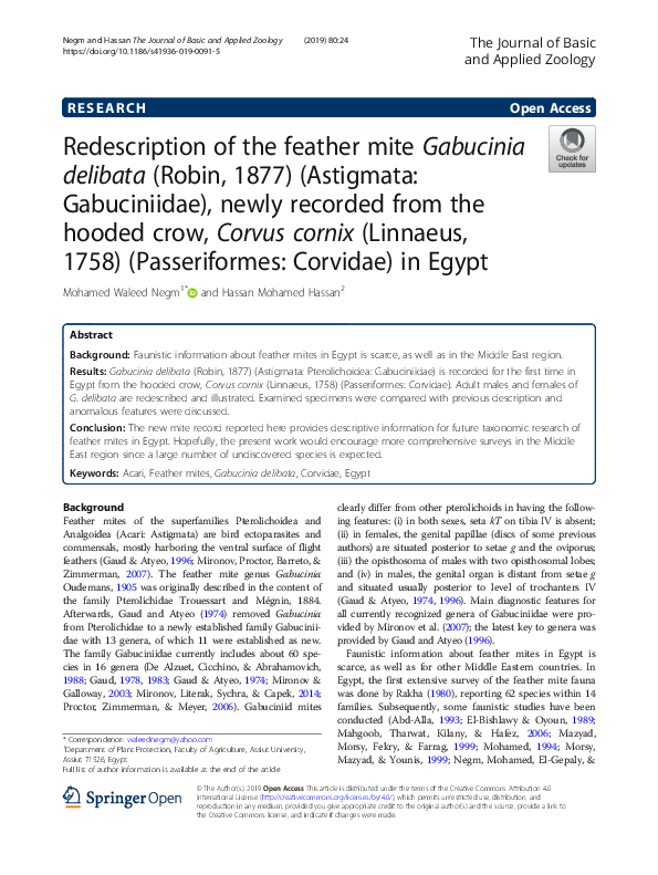 (PDF) Redescription of the feather mite Gabucinia delibata (Robin, 1877 ...
