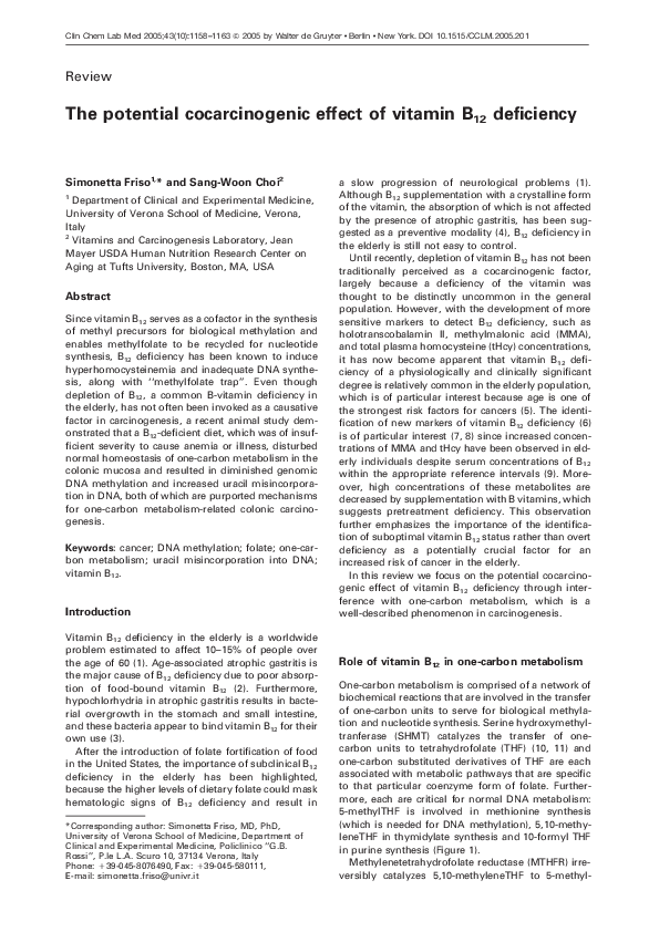 (PDF) The potential cocarcinogenic effect of vitamin B12 deficiency