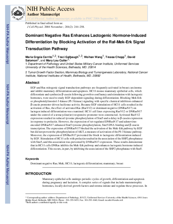 (PDF) Dominant negative Ras enhances lactogenic hormone-induced ...