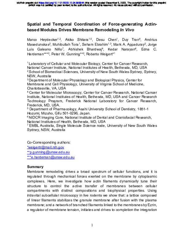 (PDF) Spatial and Temporal Coordination of Force-generating Actin-based ...