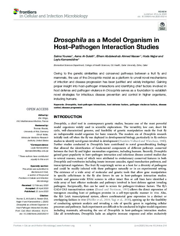 (PDF) Drosophila as a Model Organism in Host–Pathogen Interaction Studies
